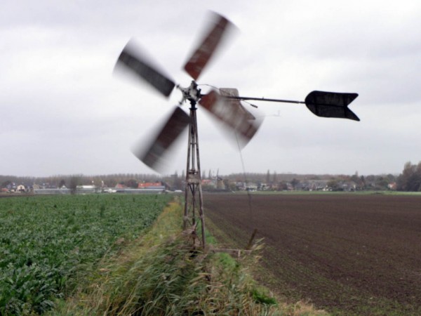 DP_Bosmanmolen.jpg